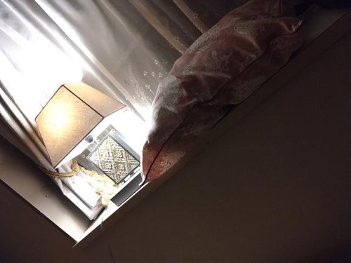 横向きまくらと来週の予定