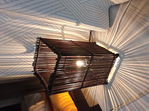 セン押し勉強中？と来週の予定